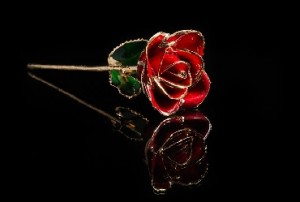 unique rose gift